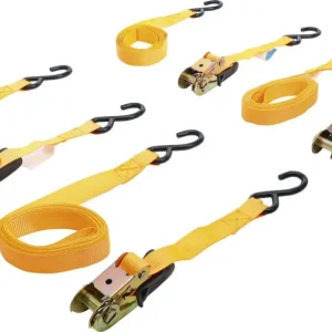 BGS Do It Yourself 6831 Spanbandset met ratel met zware haken 5 m x 25 mm 4-delig Bulkbestelling