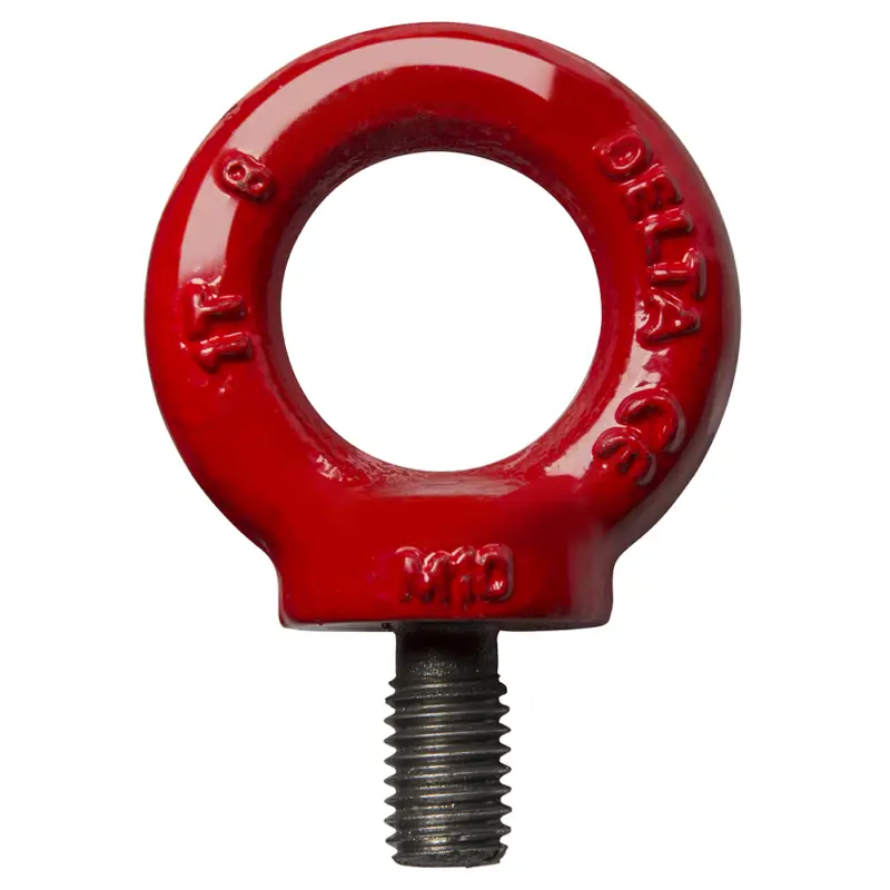 Alleen Vandaag Delta YE.8.031.12 Oogbout M12x22mm, 2 ton