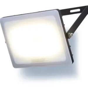 Stanley SXLS38930E 50W F2 schijnwerper zonder sensor Lage Prijs